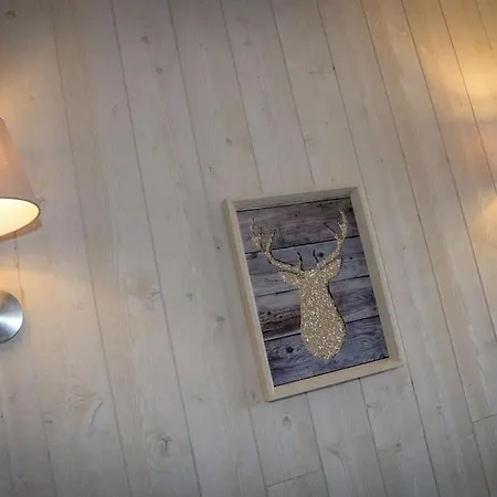 -30% Sur Location Skis Centre Station Les 2 Alpes * Les Deux Alpes