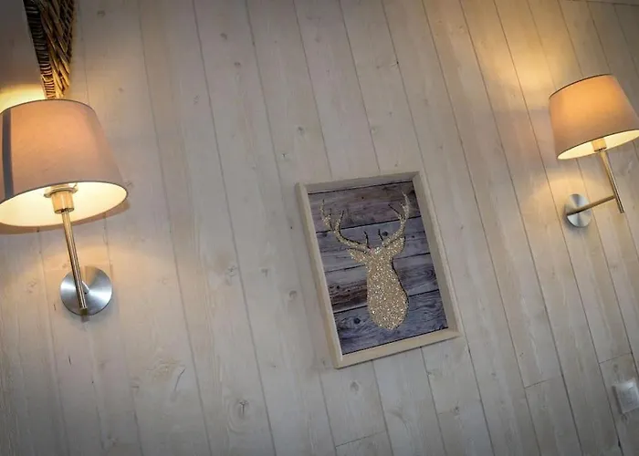 -30% Sur Location Skis Centre Station Les 2 Alpes * Les Deux Alpes